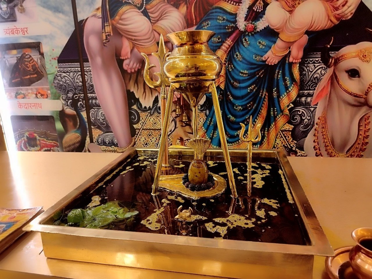 बिजलपुर धाम, इंदौर में सरसों के तेल से शिवलिंग का अखंड महारुद्राभिषेक